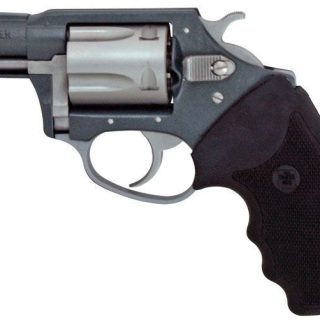 Charter Arms UnderCover Grey 38SPL
