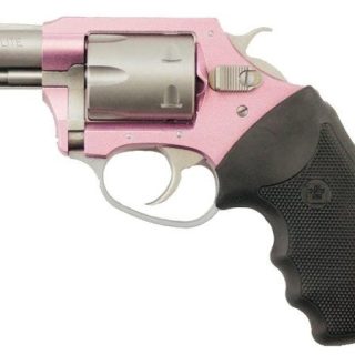 Charter Arms Pink Lady 22 LR 2 inch Barrel Pink/Stainless Steel
