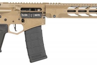 Diamondback DB15 Flat Dark Earth 5.56 NATO / .223 Rem 16" Barrel 30-Rounds Flip-Up Sights