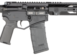 DIAMONDBACK DB15 .300 AAC BLACKOUT 10" BARREL 30-ROUNDS