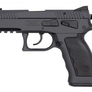 KRISS SPHINX SDP 9MM COMPACT GREY 4.35-INCH 17RDS DUTY
