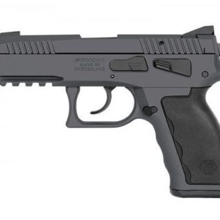 KRISS SPHINX SDP 9MM COMPACT GREY 3.7-INCH 17RDS DUTY
