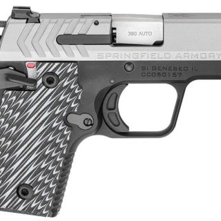 SPRINGFIELD ARMORY 911 STAINLESS .380 ACP 2.7-INCH 6RDS
