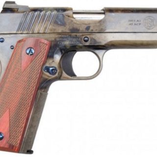 STD 1911 45ACP CASE COLORED 5"