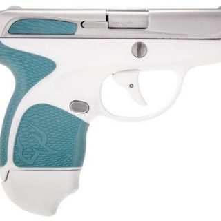 TAURUS SPECTRUM STAINLESS/WHITE/BLUE.380ACP 2.8-INCH 6RD