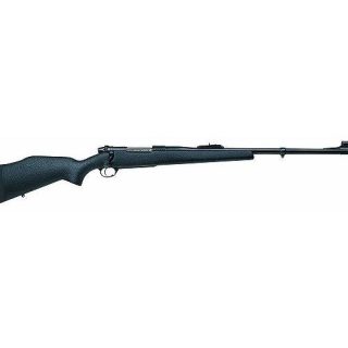 Weatherby DGM416RR4o Mark V Dangerous Game 416REM