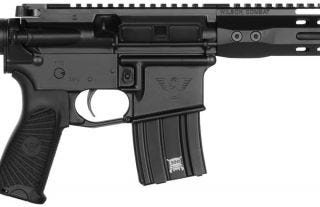 WILSON COMBAT PROTECTOR PISTOL .300 HAM'R 11.3" BARREL 20-ROUNDS