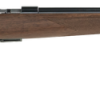 BROWNING T-BOLT SPORTER WALNUT .17 HMR 22" BARREL 10-ROUNDS - Image 2