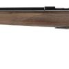 BROWNING T-BOLT SPORTER WALNUT .17 HMR 22" BARREL 10-ROUNDS
