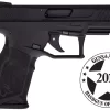 Hard Anodized Black 22 LR Black Polymer Frame 10-Round Non Manual Safety